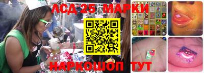 дживик Кингисепп