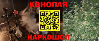 дживик Кингисепп