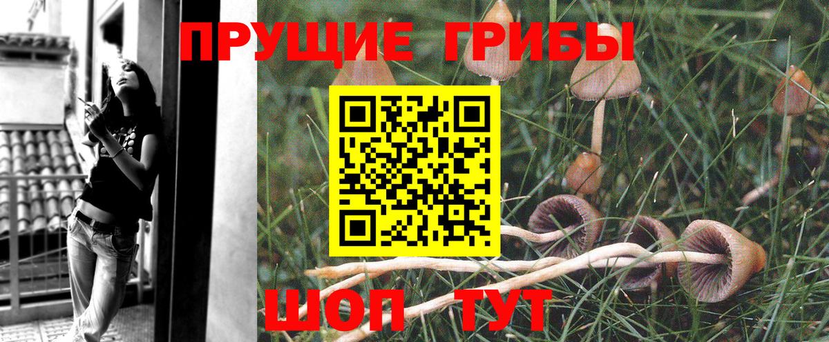 Галлюциногенные грибы Cubensis  Вход с VPN  дарнет шоп  Куйбышев 
