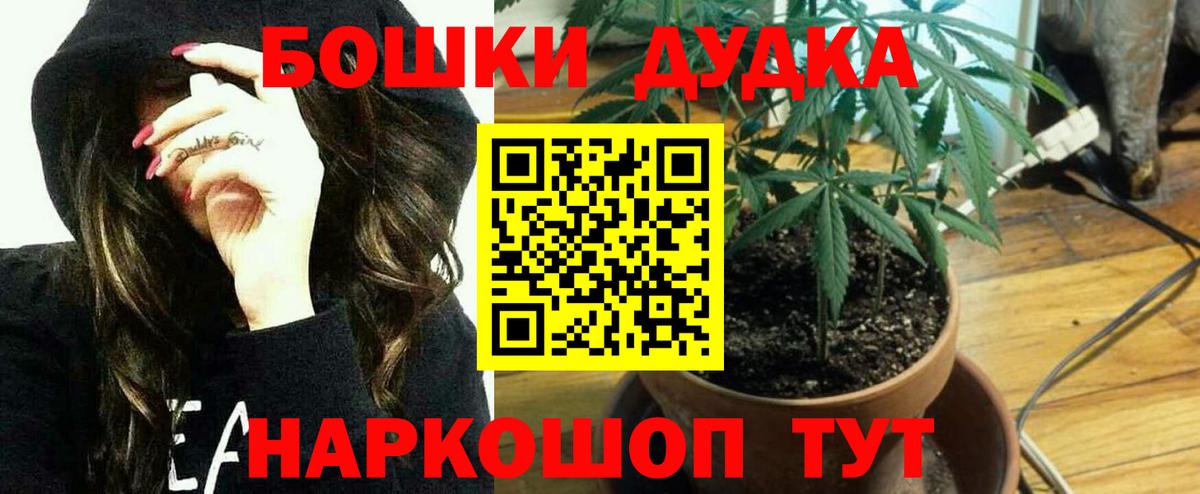 Канабис OG Kush Куйбышев